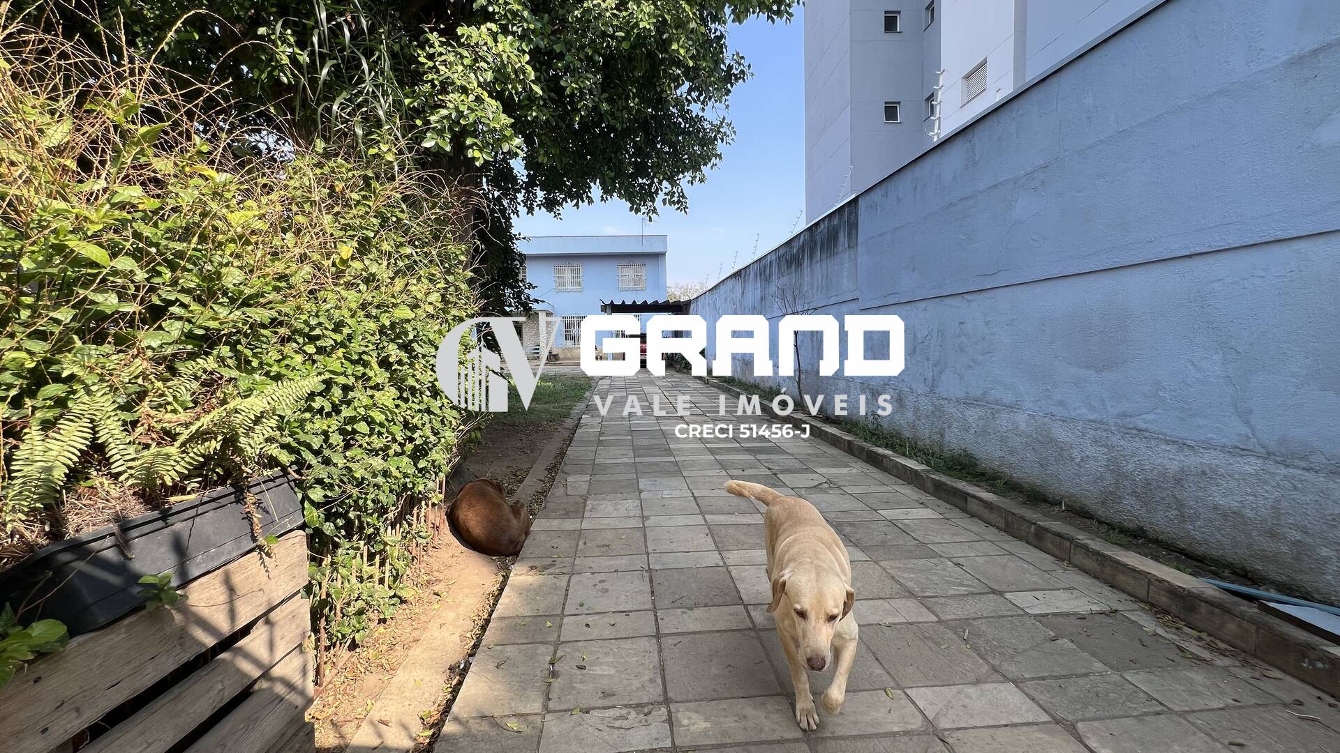 Sobrado, 3 quartos, 370 m² - Foto 3