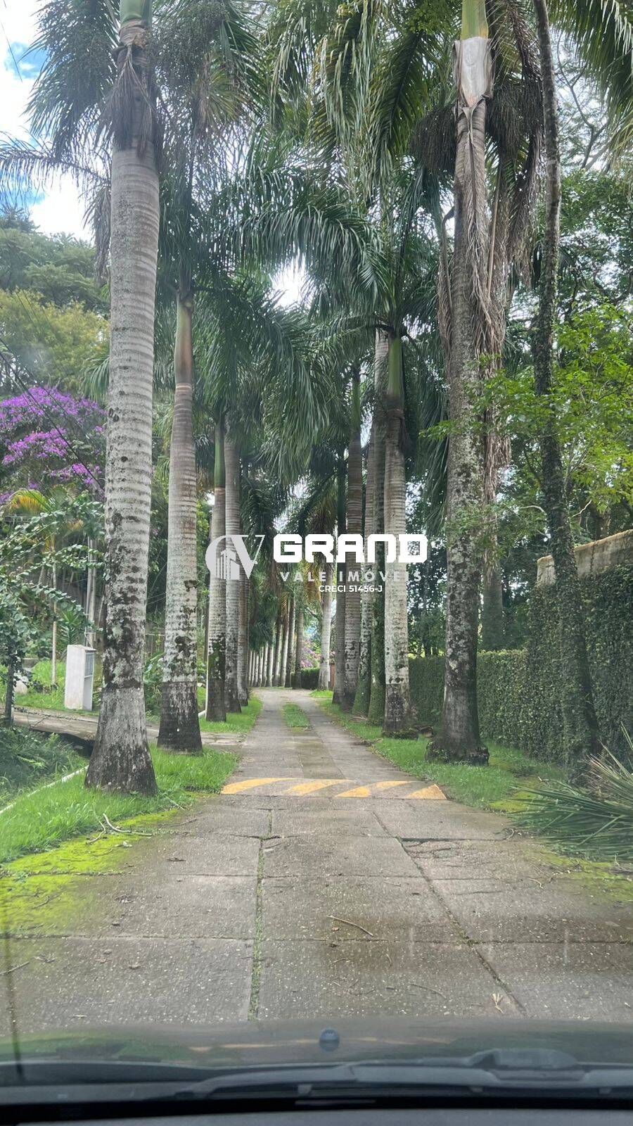 Chácara, 3 quartos, 1821 m² - Foto 36