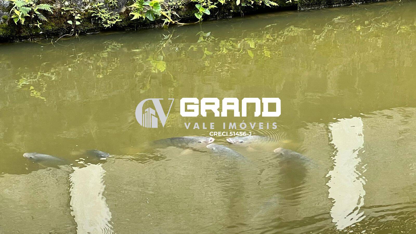 Chácara, 3 quartos, 1821 m² - Foto 35